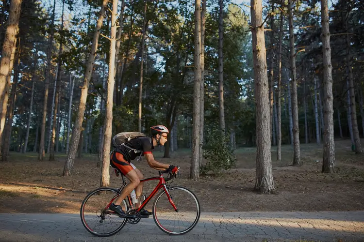 Nadmorska trasa rowerowa Velo Baltica w okolicy Międzywodzia